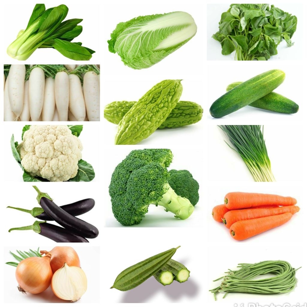 

Sayuran Segar 500gr Pare Pakcoy Wortel Brokoli Terong Mentimun Pare dll