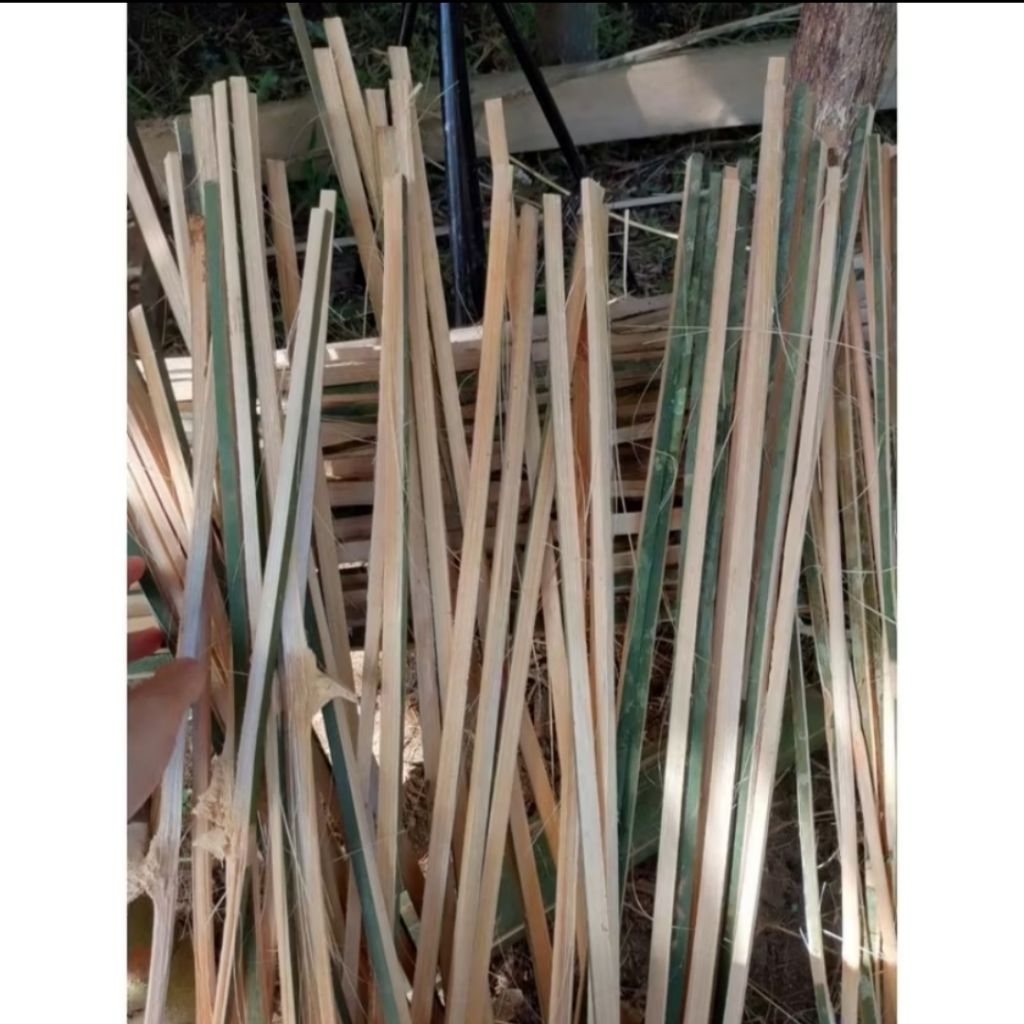 Bambu petung/bambu bahan mentah/petung arku layangan per 10 pcs ukuran 100 cm