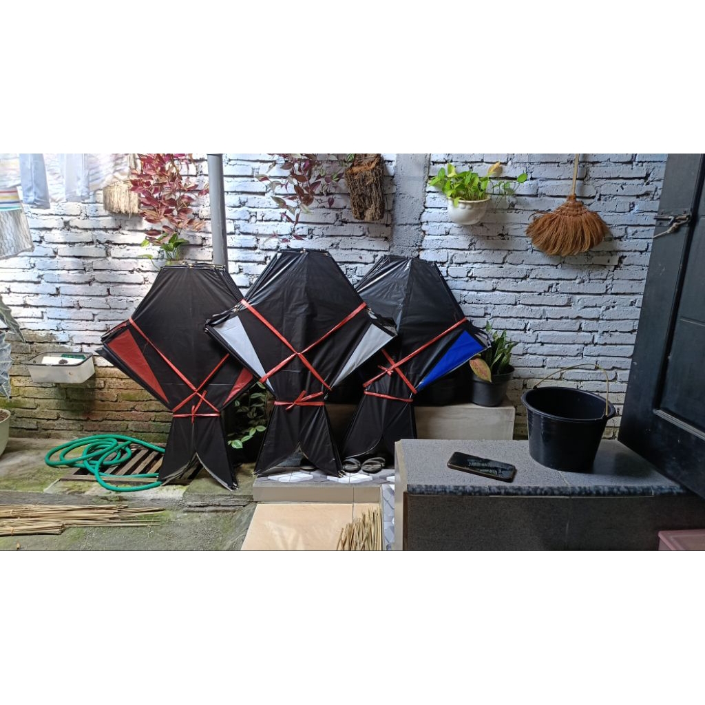 layangan cotek belolong  / cotek ikan / layangan raja