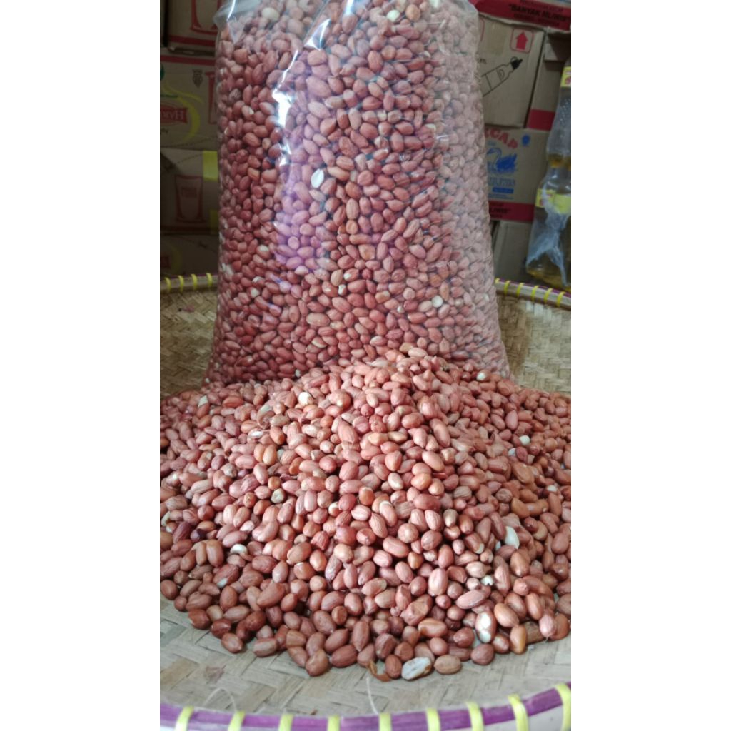 

Kacang India merah