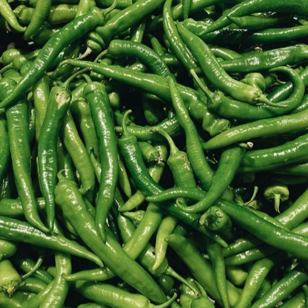 

Cabai Hijau Keriting Lokal – Harian & Siap Masak