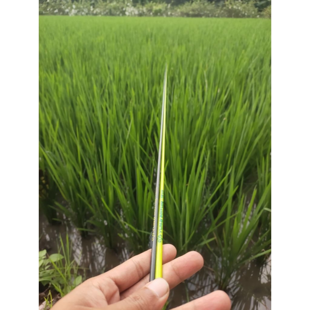 Fiber Solid Bahan Joran Wader Super Lentur 120-130cm Sudah Lemas Ujung