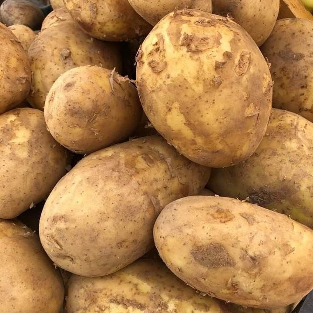 

Kentang Lokal Fresh 500g / 1 Kg