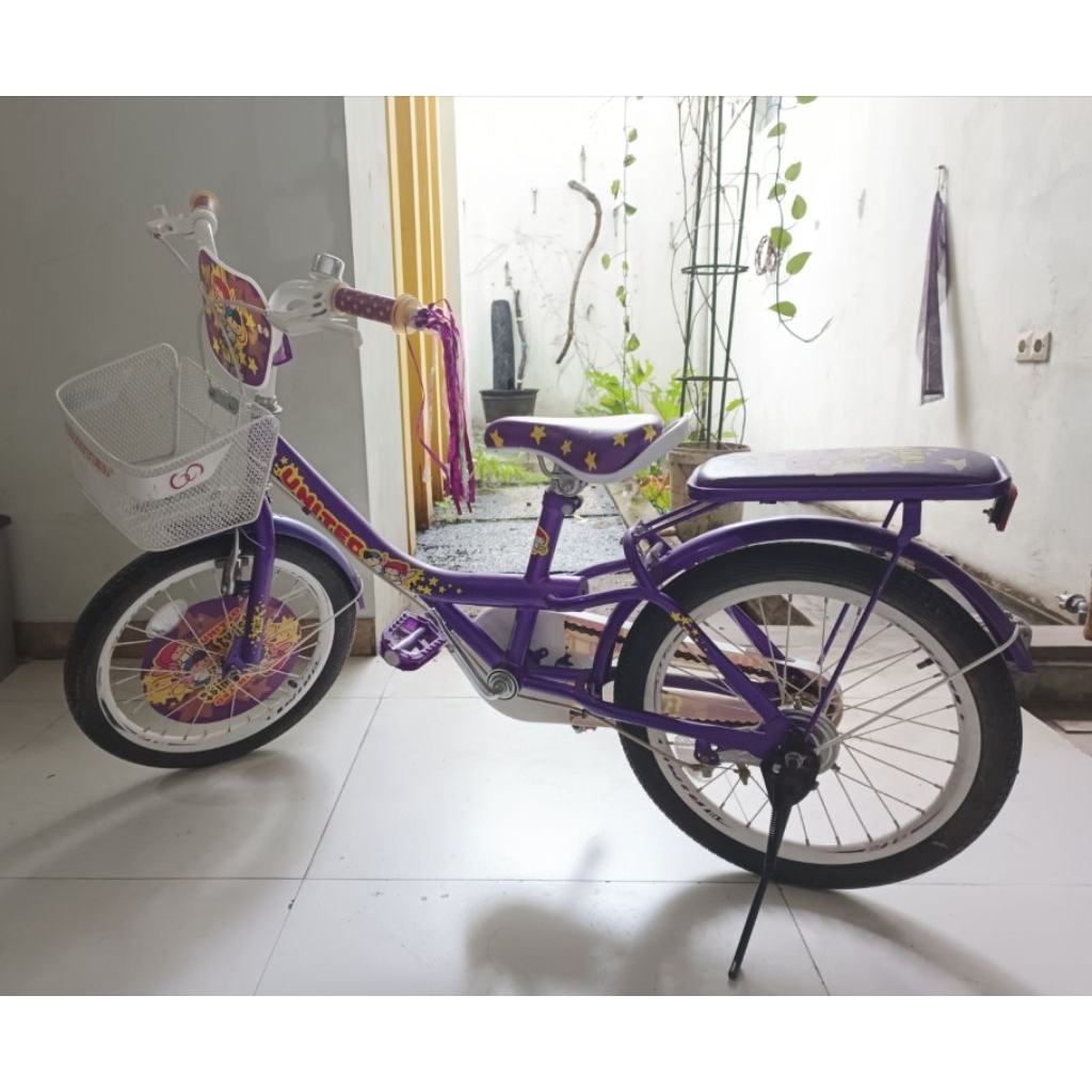 sepeda anak bicycle for kid  18" United Twist