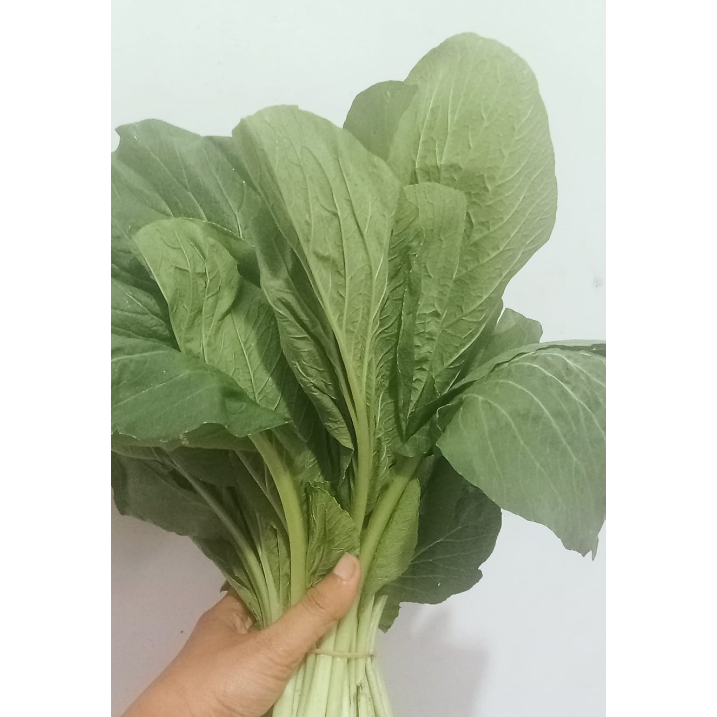

1 kg Daun Cesim Segar / Sayuran Sawi Ceisim