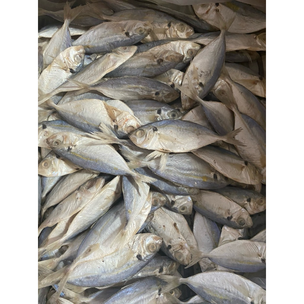

Ikan Asin Selar 250gr Ikan Asin Selar Fresh