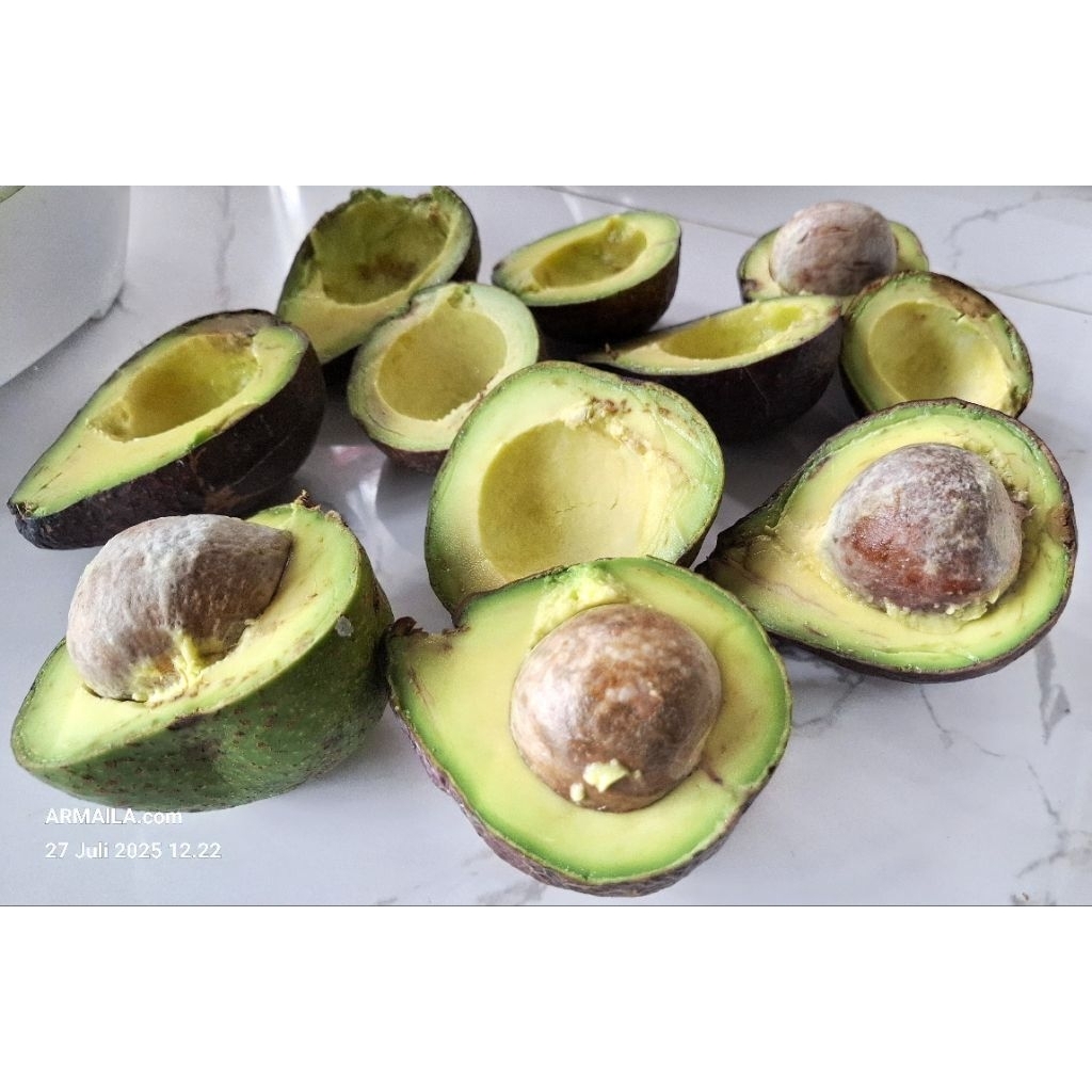 

Buah Alpukat Pokat Avocado Gayo Pokat Susu atau Pokat Mentega Enak Legit 1 Kg