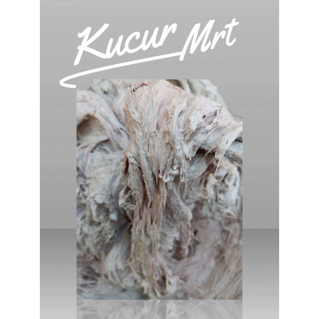 Umpan Mancing Ikan Baung Kucur Mrt