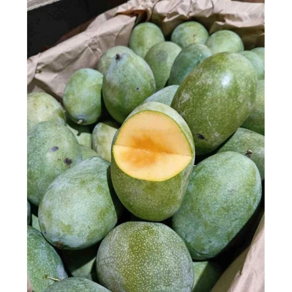 Mangga Manalagi Madu 1kg