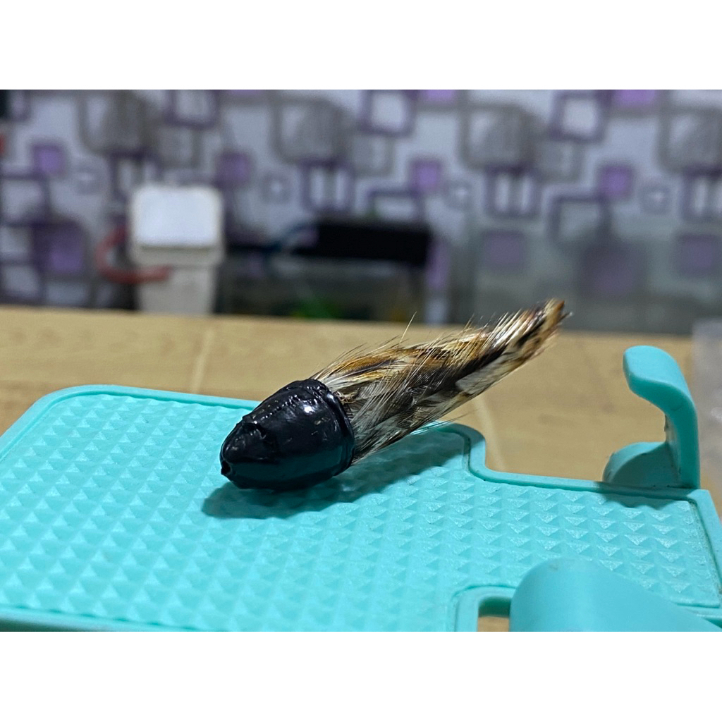 Umpan Bulu Ayam Langka / mancing Mahseer, Hampala