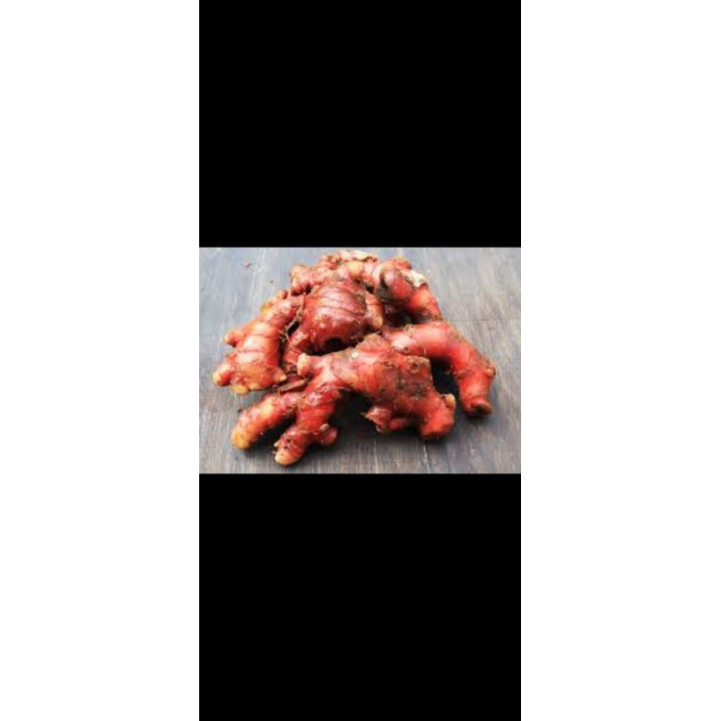 

jahe merah gede 1kg