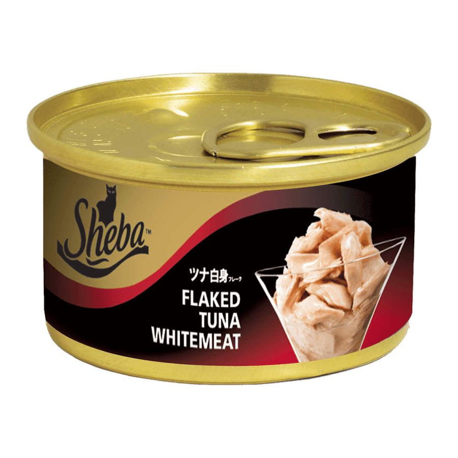 

TERMURAH DI SHOOPE sheba plaket tuna