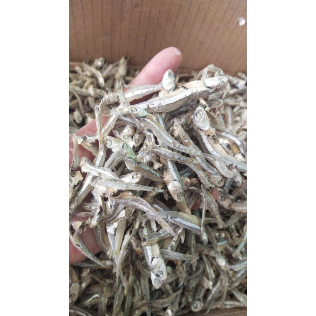 

Ikan teri cantik berat 1 kg