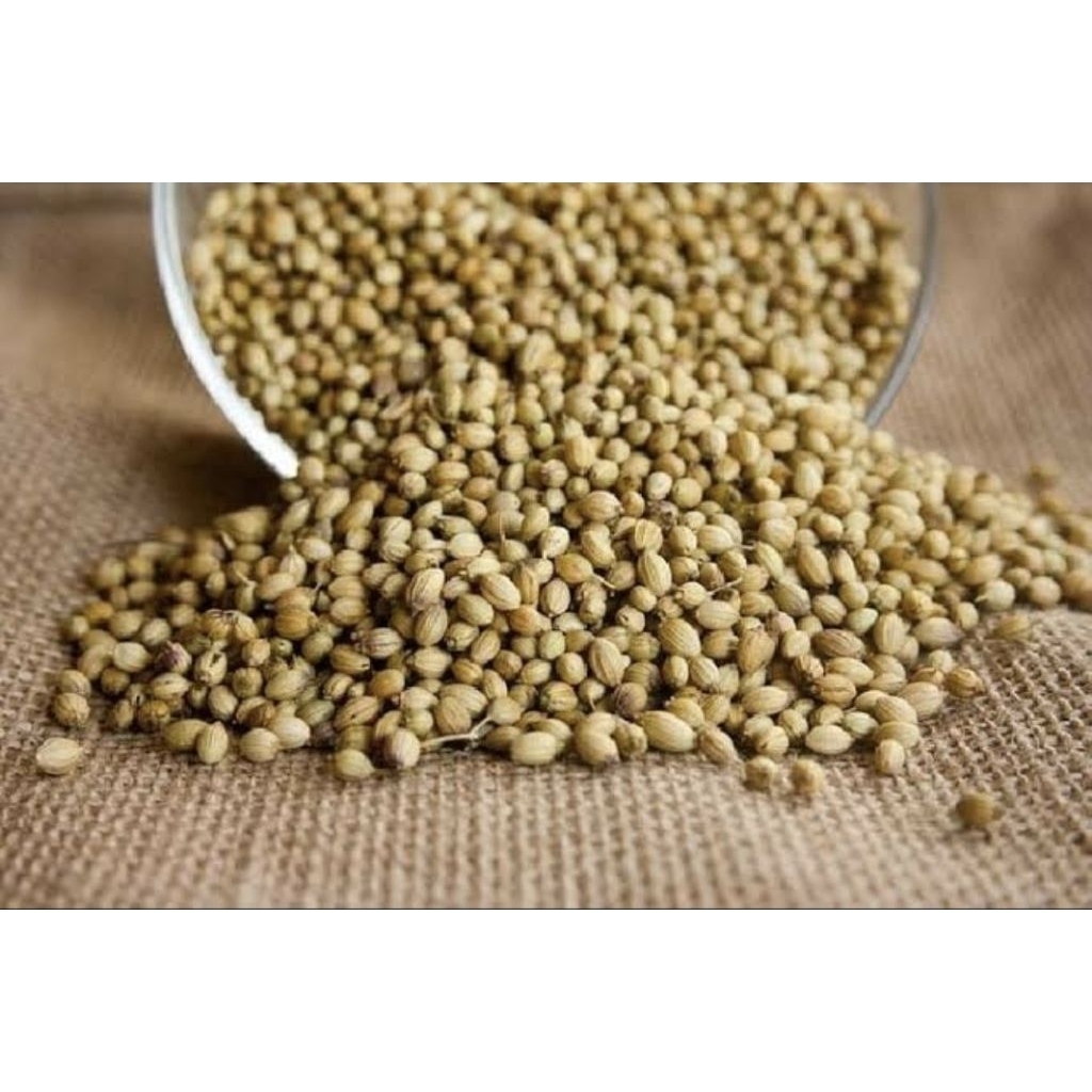 

Ketumbar Fresh Kualitas Grade A Kemasan 250gram|500gram|1Kg