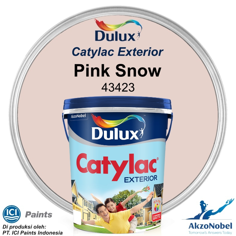 CAT DULUX CATYLAC EXTERIOR 5 KG - PINK SNOW 43423