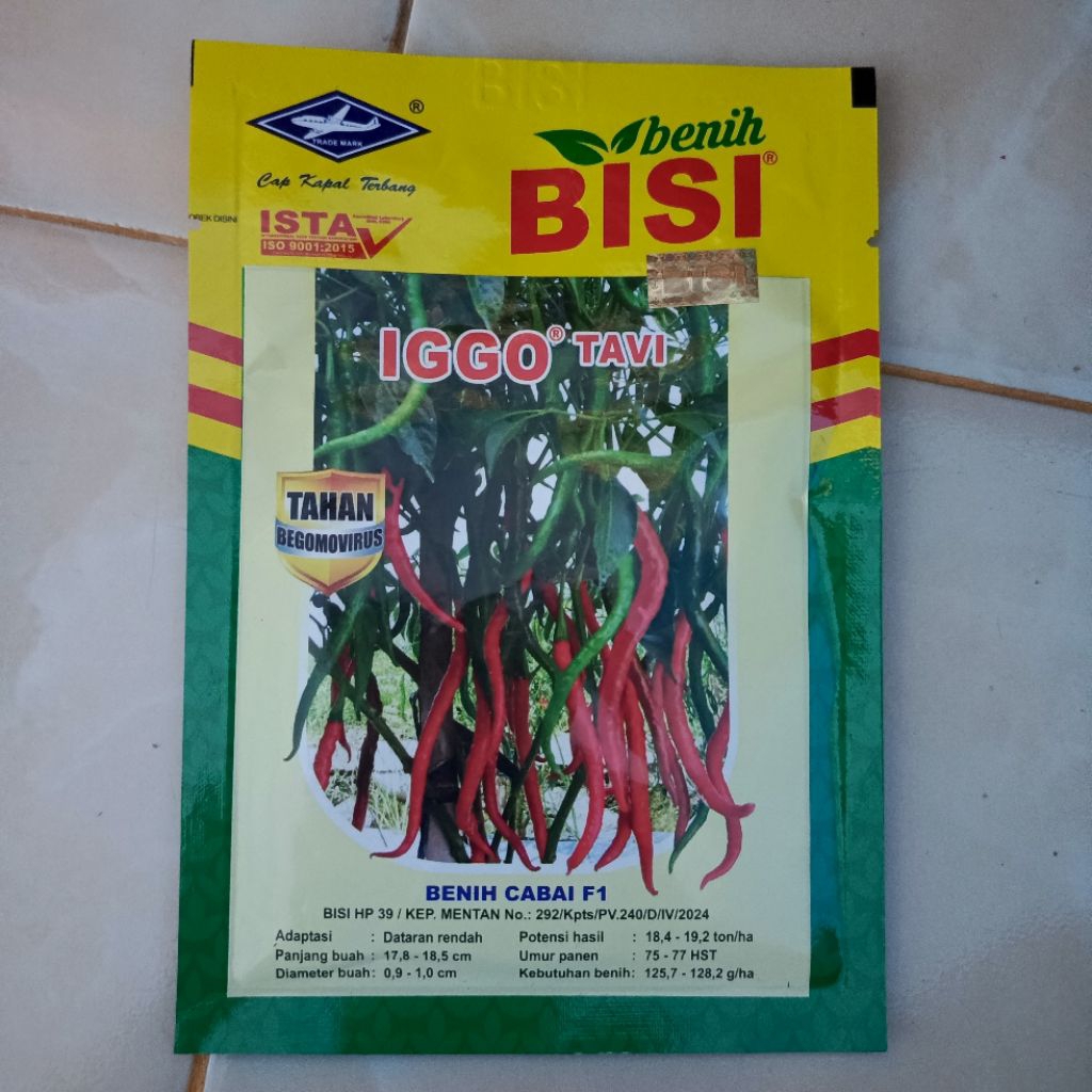 Benih Cabai Keriting IGGO TAVI