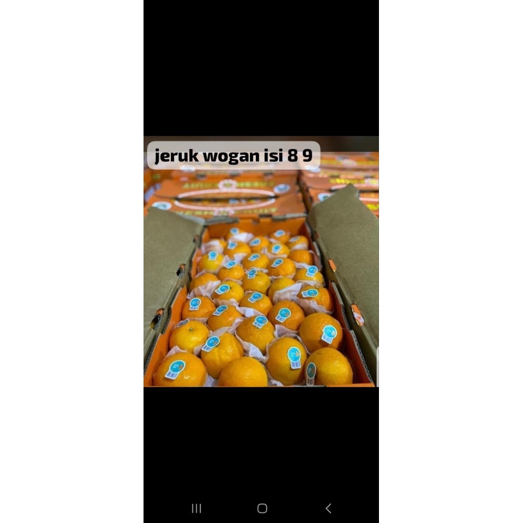 

JERUK WOGAN PREMIUM