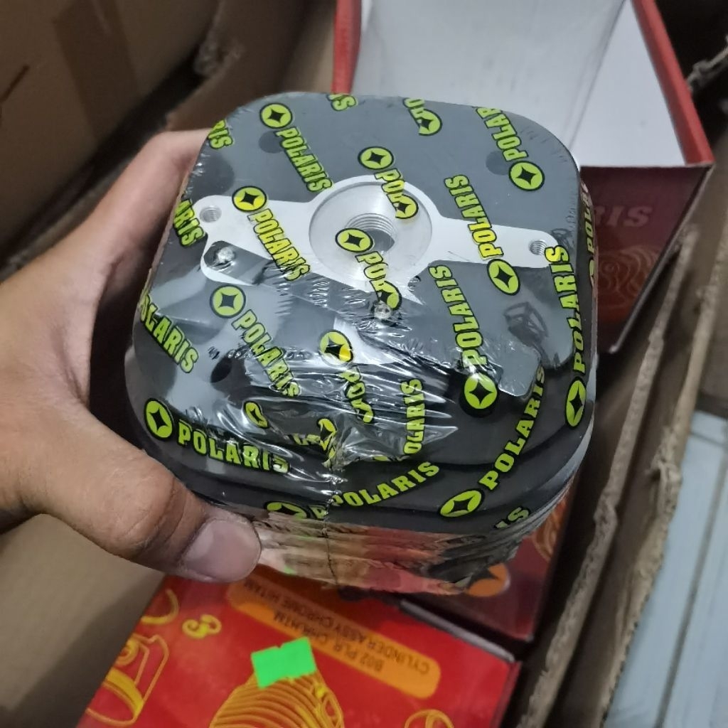 cylinder boring chainsaw 070 707 POLARIS ASLI