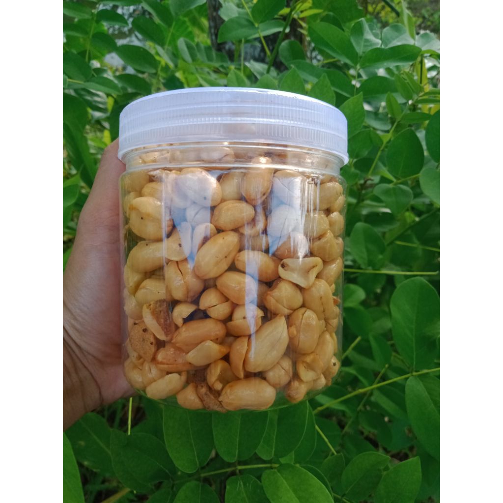 

KACANG BAWANG 320gr || Gurih original