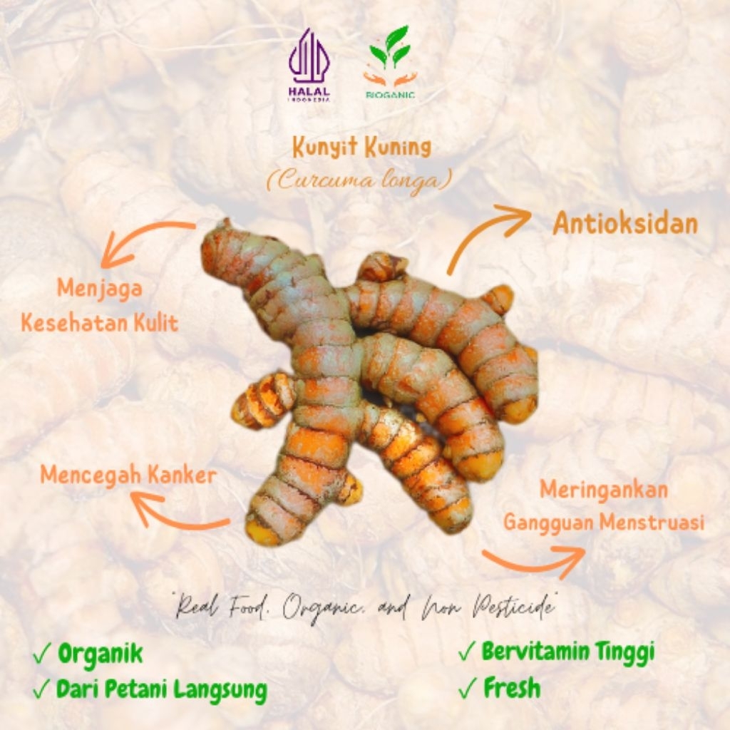 

Kunyit Kuning Organik by BIOGANIC