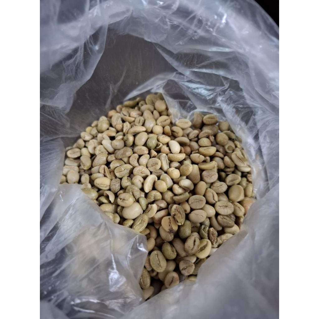 

Biji Kopi Robusta Mentah - Malang