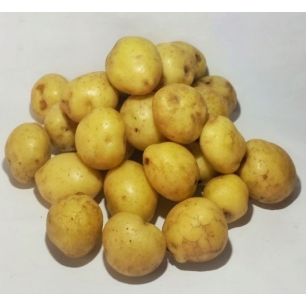 

Kentang kecil segar 500gr