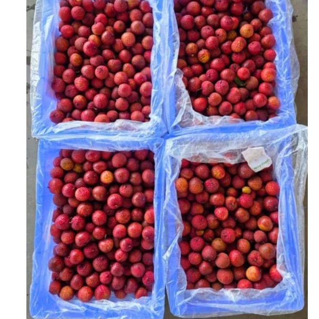

Leci Madu Merah 1kg