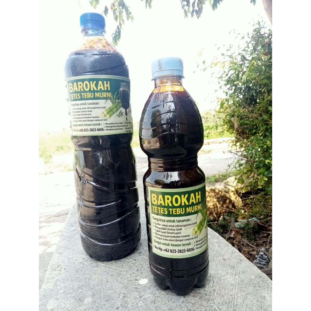 tetes tebu murni