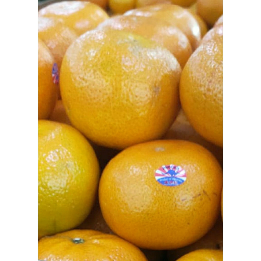

jeruk murcot 1kg