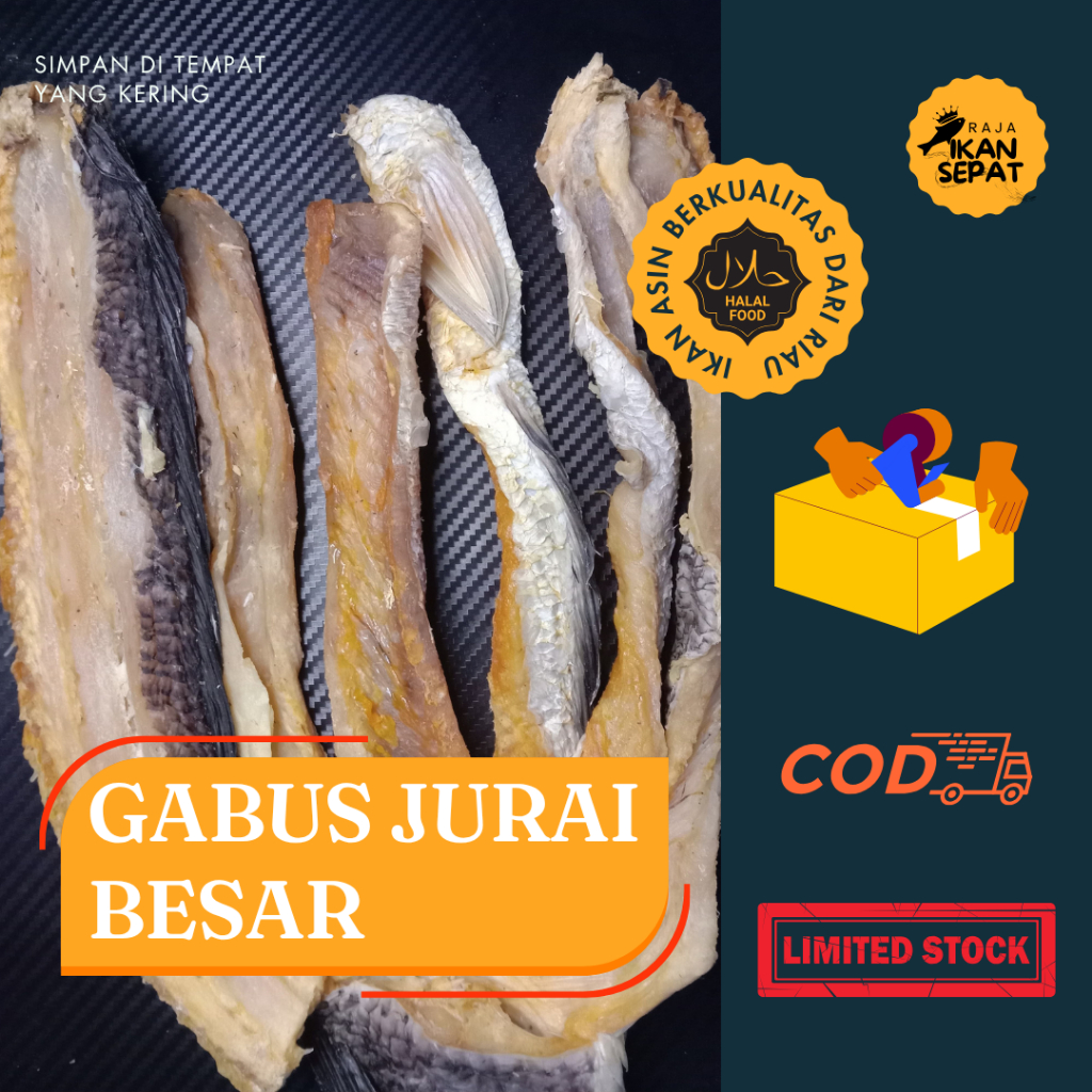 

Ikan Gabus Jurai Besar Dari Duri