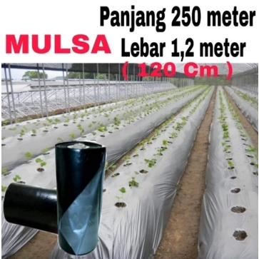 PLASTIK MULSA ( 1 ROLL ) panjang 250 meter * Lebar 120cm (1,2meter)