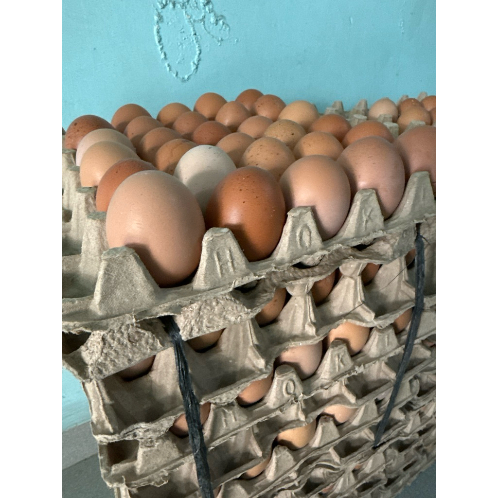 

30 Pcs Telur Ayam Eropa Jumbo