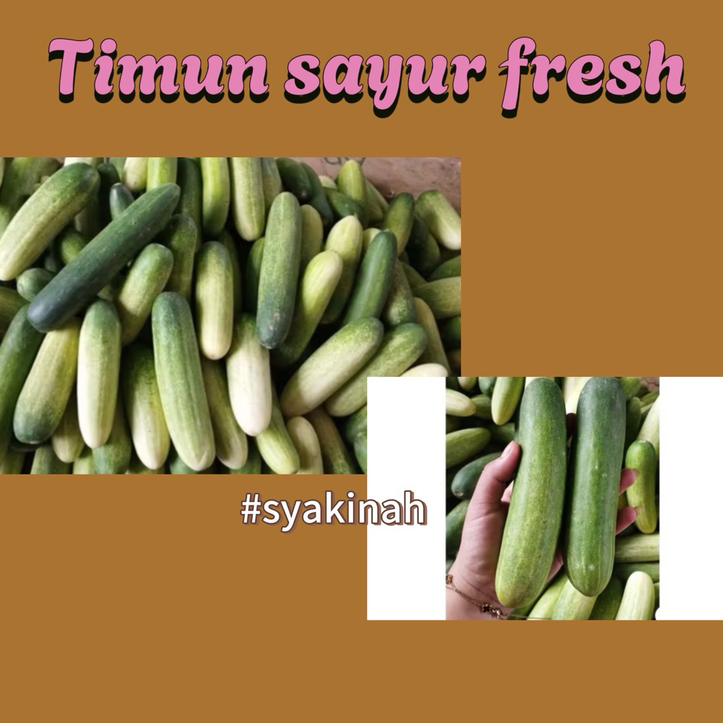 

TIMUN SAYUR PILIHAN FRESH 1 kG