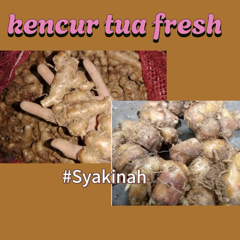 

KENCUR TUA FRESH PILIHAN 1 kg