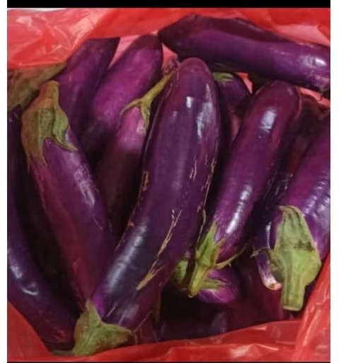 

TERUNG UNGU FRESS 1KG