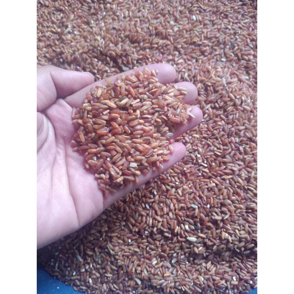 

Beras merah organik 500 gram