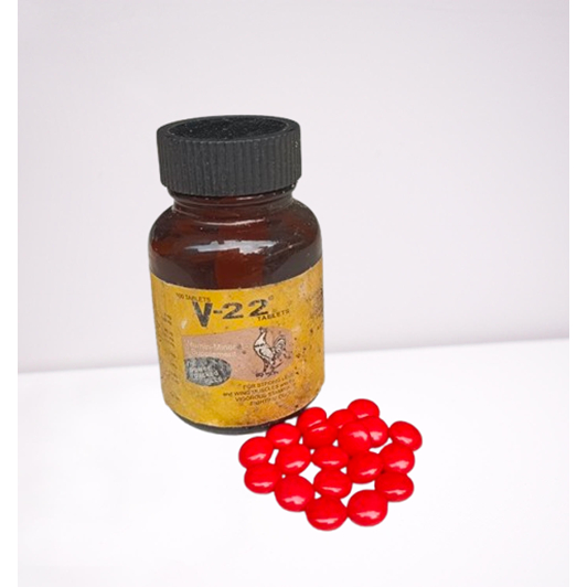 v22 vitamin ayam 20pill / vitamin ayam / v22 multivitamin ayam / vitamin ayam / menjaga stamina ayam