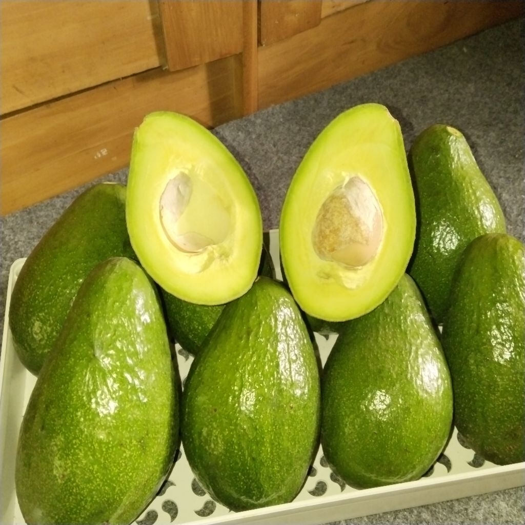 AlpukatMentegaRegulerIsi(5,6)dikirimMentahBergaransiAlpukatLokalBandung