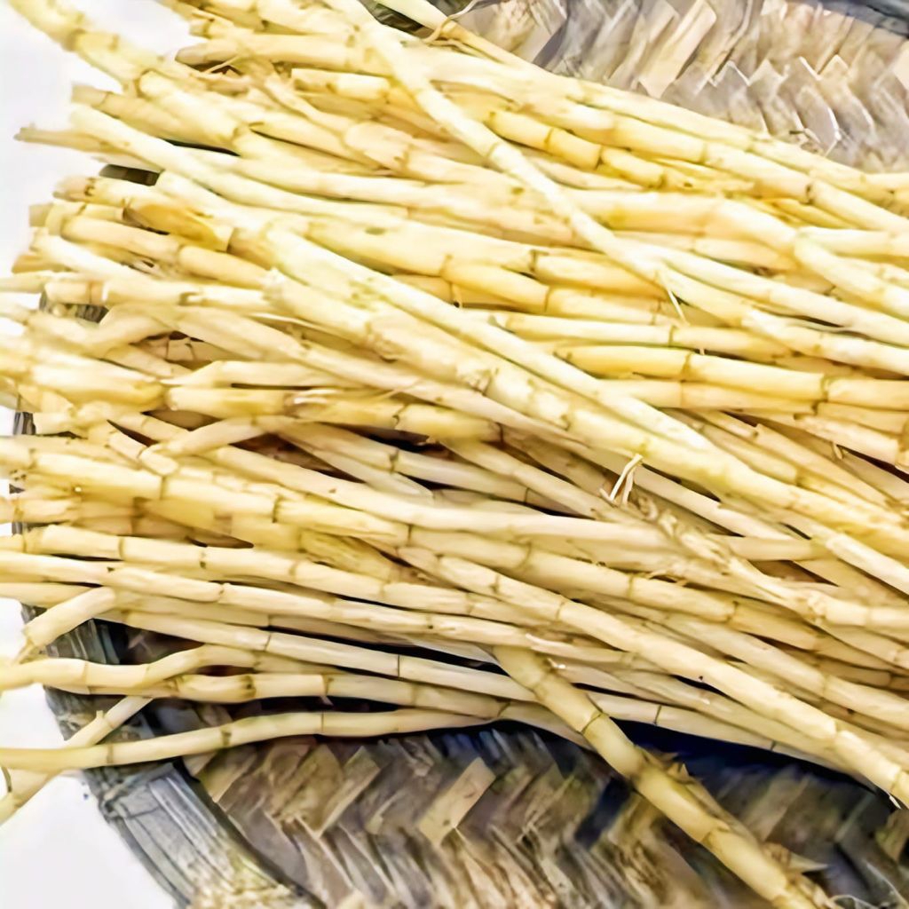 

akar alang alang segar isi 500 gram