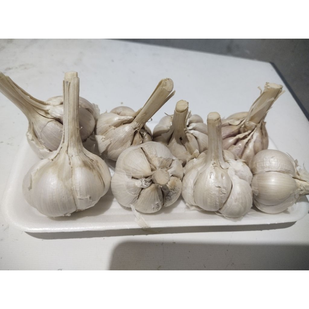 

bawang putih kating 1kg