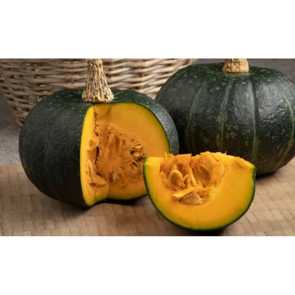 15 BUTIR BIJI LABU KABOCHA HIJAU