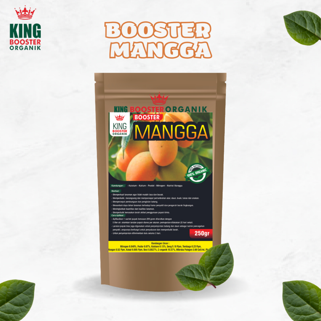 Pupuk Booster Mangga Pelebat Organik Cepat Berbuah Lebat Atasi Rontok Pupuk Anti Hama Buah Mangga Pu