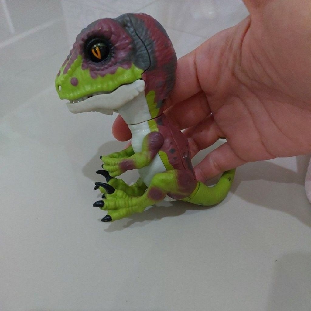Untamed raptor fingerlings MURAH 80%OFF