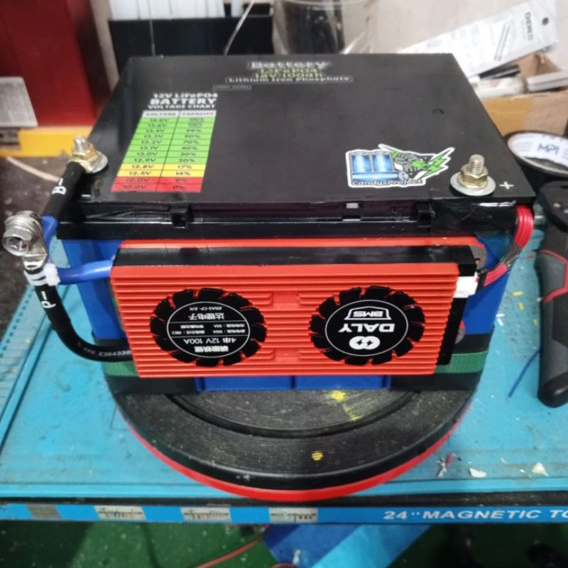 Baterai Lifepo4 12V 100Ah + BMS Daly