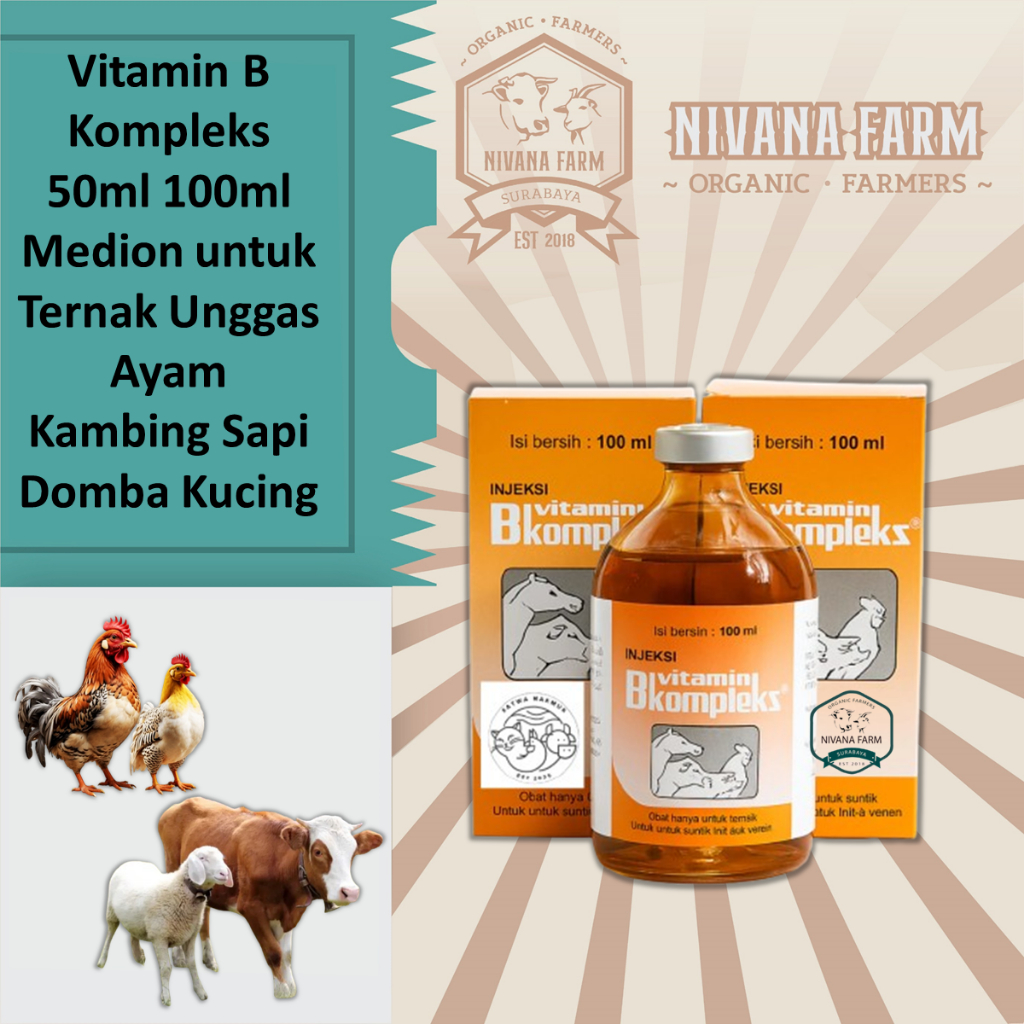 Vitamin B Komplek 50ml 100ml Medion untuk Ternak Unggas Ayam Kambing Sapi Domba Kucing