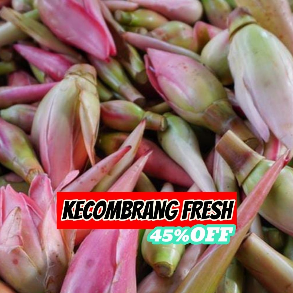 

Kecombrang Honje Kincung segar baru petik setelah dipesan