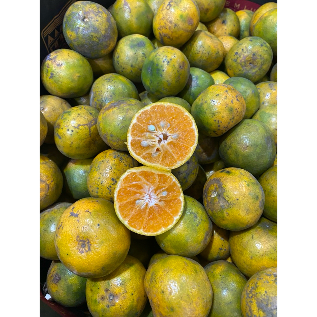 

JERUK PERAS SIAM (MANIS, FRESH, MURAH)