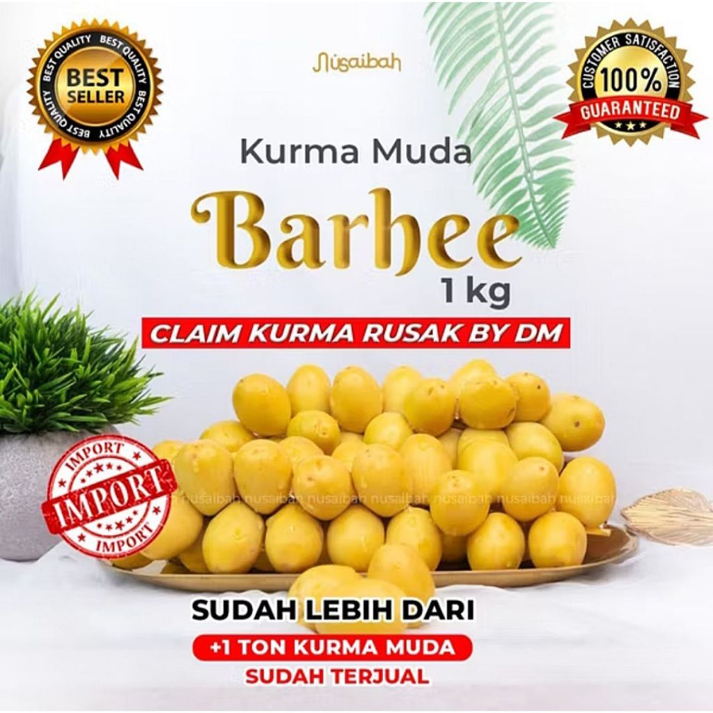 New Kurma Muda BARHEE Promil - Kurma Muda Promil