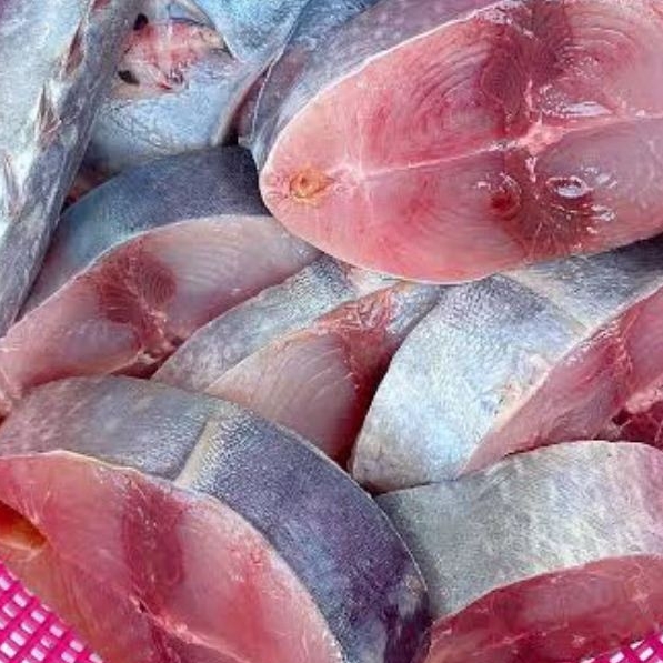 

Ikan Tongkol Potong Full Daging Besar