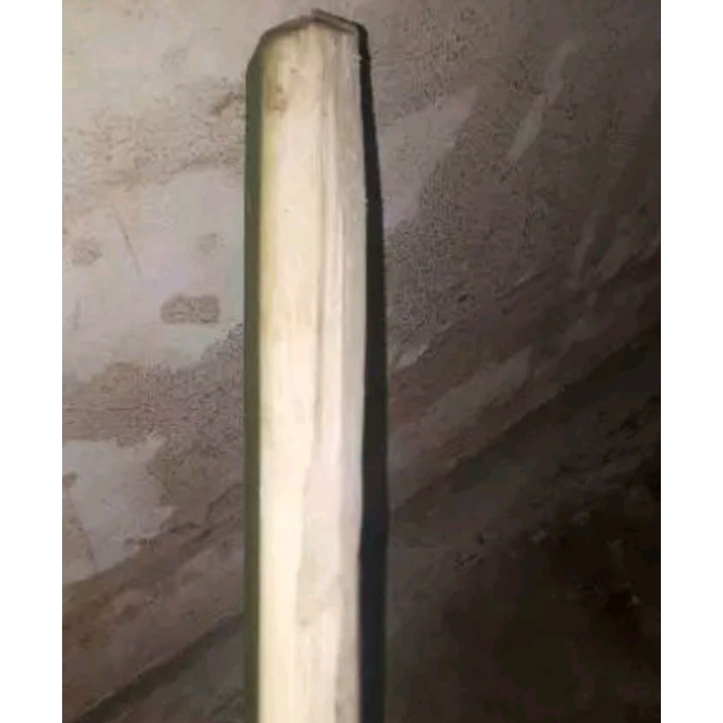 

Pelapah pohon aren segar per 1 kg